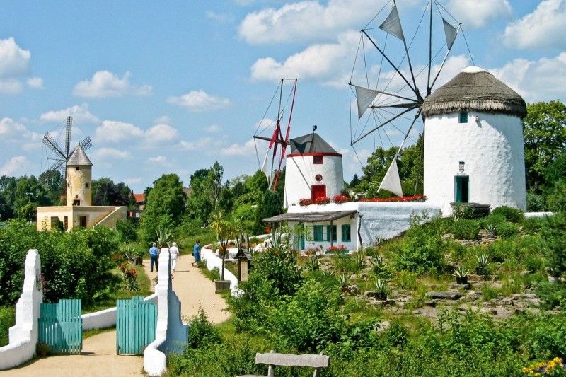 Traditionelle Windmühlen in malerischer Umgebung Mehrere traditionelle Windmühlen in einer grünen Landschaft unter einem blauen Himmel.